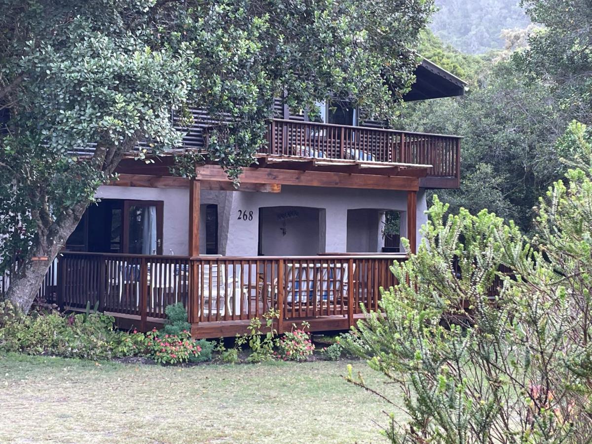 Natureʼs Valley Forest Drive Holiday Home מראה חיצוני תמונה