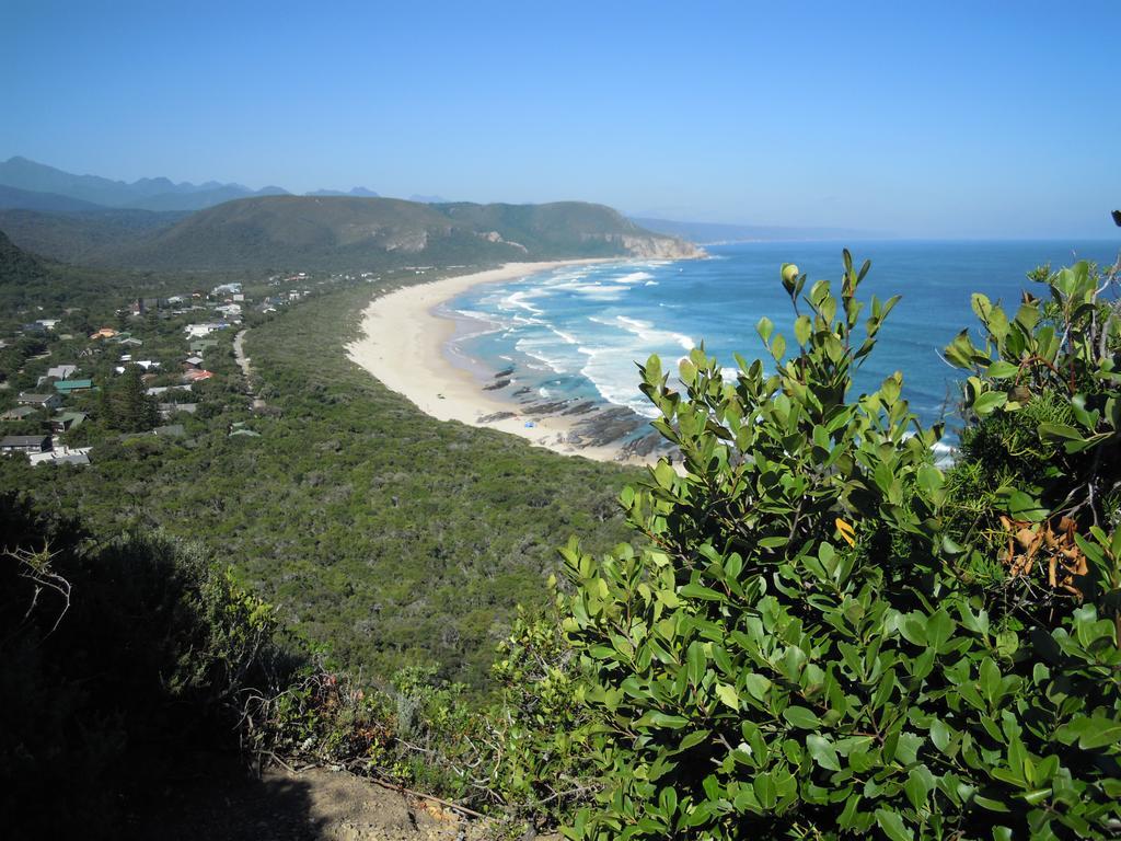Natureʼs Valley Forest Drive Holiday Home מראה חיצוני תמונה